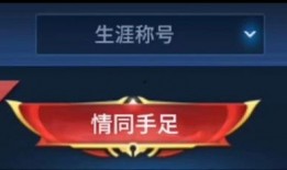 多亲4最新爆料,颠覆性升级，科技新宠即将亮相